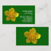 Hypericum Hidcote - Gras grün Visitenkarte (Vorne/Hinten)