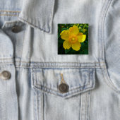 Hypericum Hidcote (Johanniskraut) Button (Beispiel)