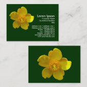 Hypericum Hidcote (Johanniskraut) Dark Green Visitenkarte (Vorne/Hinten)