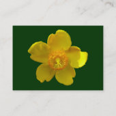 Hypericum Hidcote (Johanniskraut) Dark Green Visitenkarte (Rückseite)