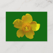 Hypericum Hidcote (Johanniskraut) grüne Gras Visitenkarte (Rückseite)