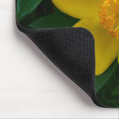 Hypericum Hidcote (Johanniskraut) Mousepad (Ecke)