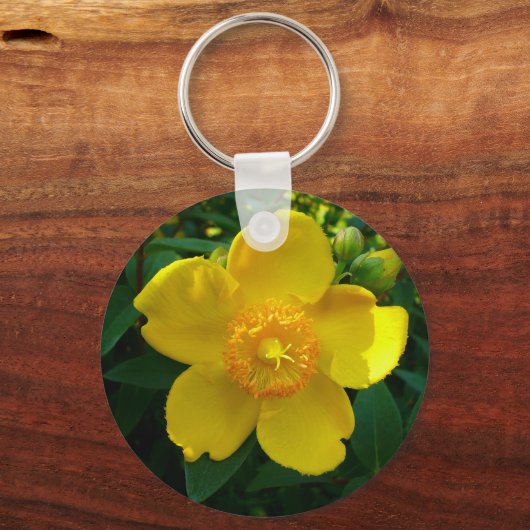 Hypericum Hidcote (Johanniskraut) Schlüsselanhänger (Vorderseite)