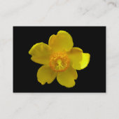 Hypericum Hidcote (Johanniskraut) Visitenkarte (Rückseite)