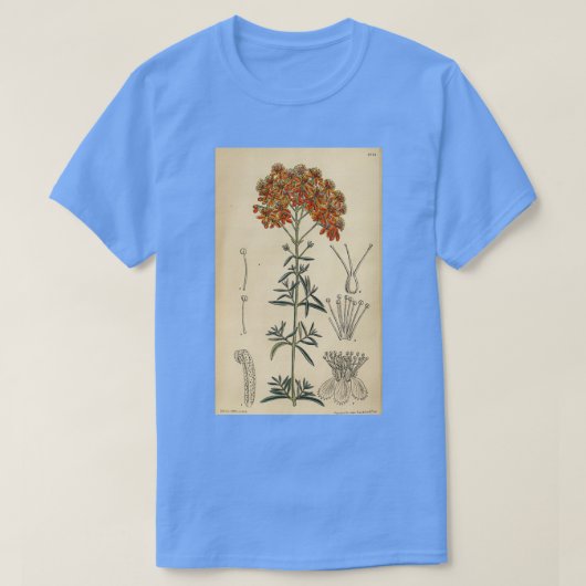 Hypericum laeve rubrum 144 8773 T-Shirt (Design vorne)