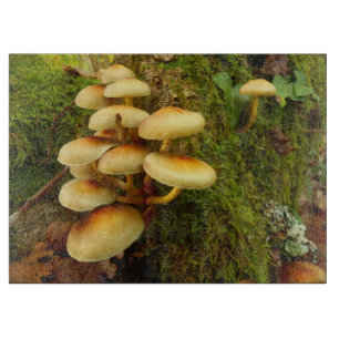 Hypholoma fasciculare Mushroom Chopping Board Schneidebrett