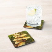Hypholoma fasciculare Mushroom Plastic Coasters Untersetzer (Rechte Seite)