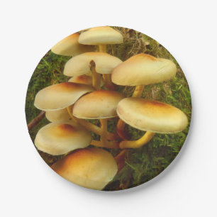 Hypholoma fasciculare Pilz-Papier-Teller Pappteller