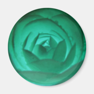 Hypnotic Camellige Blume Magnet