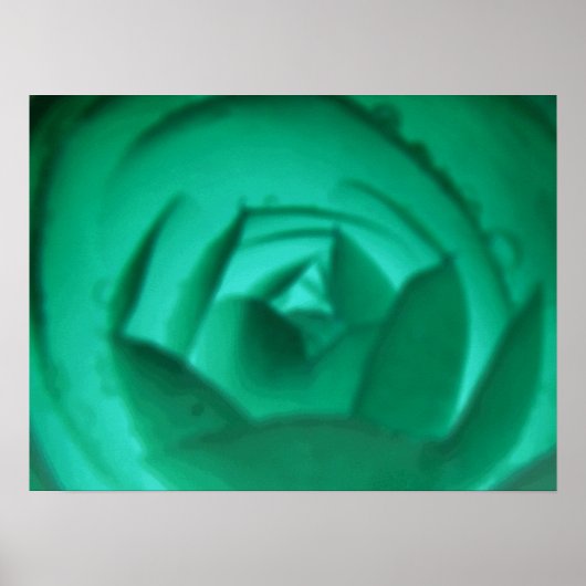 Hypnotic Camellige Blume Print Poster (Vorne)