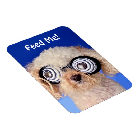 Hypnotic Poodle Magnet (Rechte Seite)