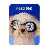 Hypnotic Poodle Magnet (Vertikal)