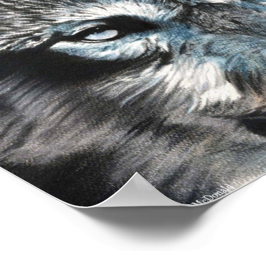 Hypnotic - Wolf Poster (Ecke)