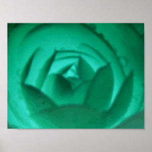 Hypnotischer Kamelien-Blumenaufdruck Poster