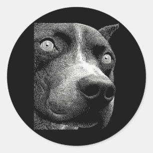 Hypnotischer Pitbull seltsame Augen Weirdcore Grus Runder Aufkleber