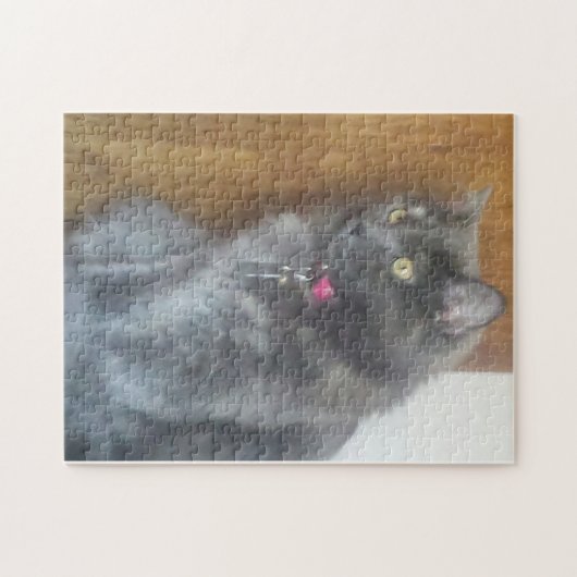 Hypnotisierte graue Katze Puzzle (Horizontal)