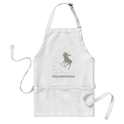 Hypotemoose Math Geek Schürze (Vorne)