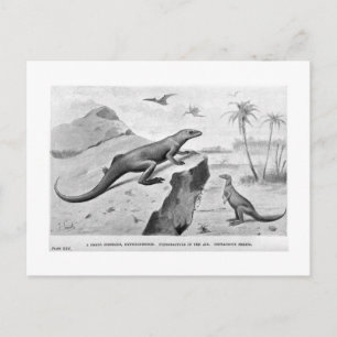 Hypsilophodon-Kunstpostkarte Postkarte