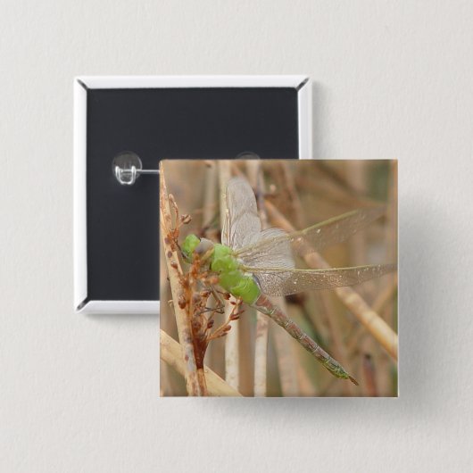 I1 Green Dragonfly Button (Vorne & Hinten)