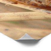 I1 Green Dragonfly Poster (Ecke)