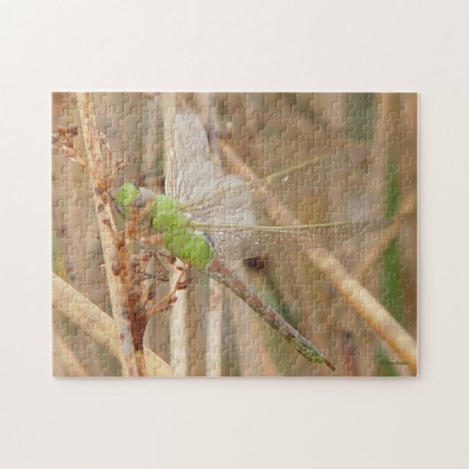 I1 Green Dragonfly Puzzle (Horizontal)