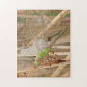 I1 Green Dragonfly Puzzle (Vertikal)