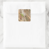 I1 Green Dragonfly Quadratischer Aufkleber (Tasche)