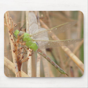 I1 Grüne Libelle Mousepad