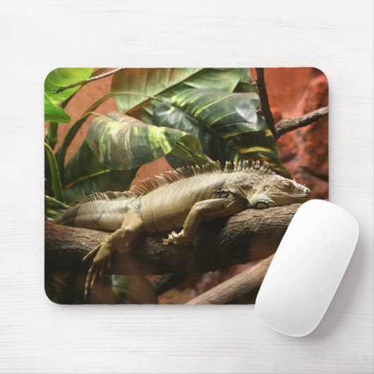 I2 MOUSEPAD (Mit Mouse)