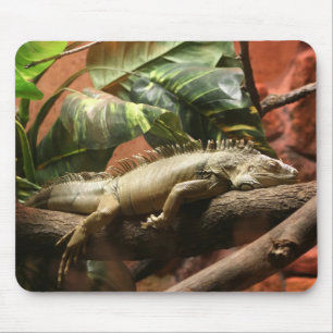 I2 MOUSEPAD