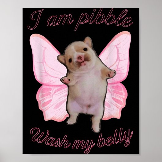 I Am Bble Wash My Belly Bble Meme Funny Dog Brainr Poster (Vorne)