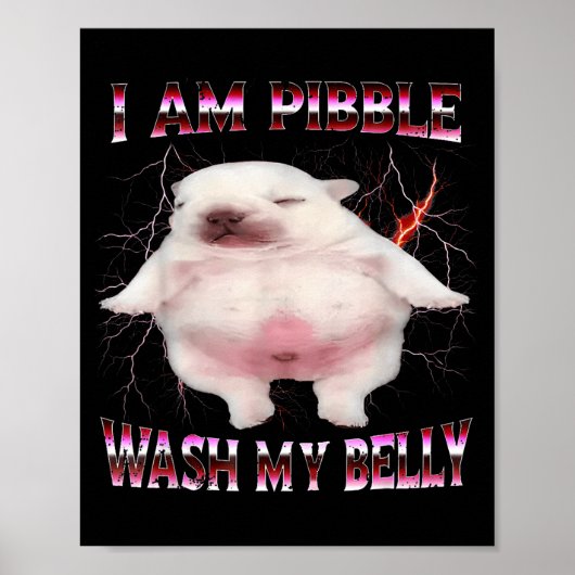 I Am Bble Wash My Belly Funny Dog Meme  Poster (Vorne)