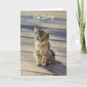 I Am Sorry Cute Kitten Cat Card Karte (Vorderseite)