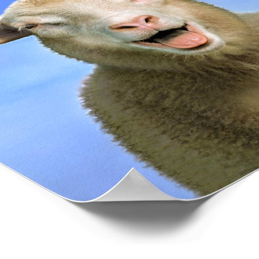 I AM VEGAN POSTER (Ecke)