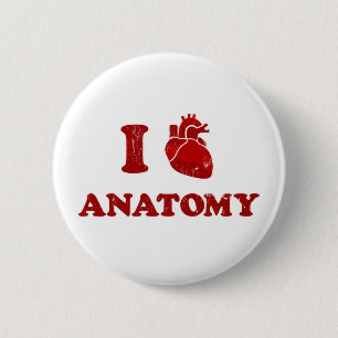 i Anatomie der Liebe2 Button
