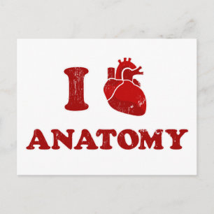 i Anatomie der Liebe2 Postkarte