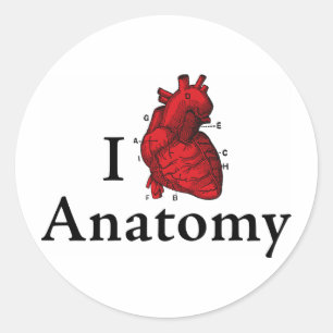 I Anatomie der Liebe Runder Aufkleber