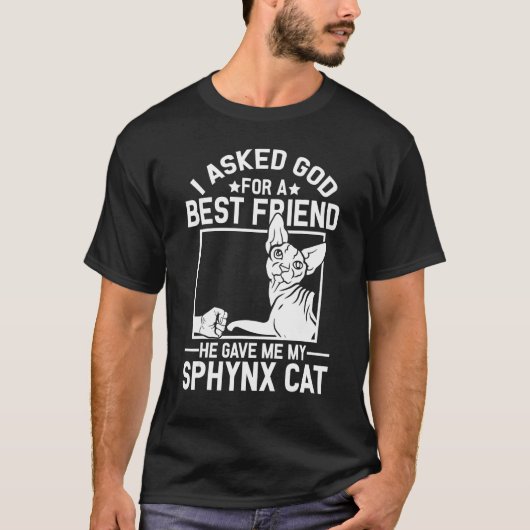 I Asked God For A Best Friend Sphynx Cat Mom T-Shirt (Vorderseite)