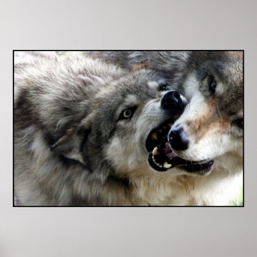 I BITE POSTER (Vorne)