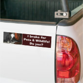 "I BRAKE FOR PETS" Cat Kitten Autoaufkleber (Auf Lkw)
