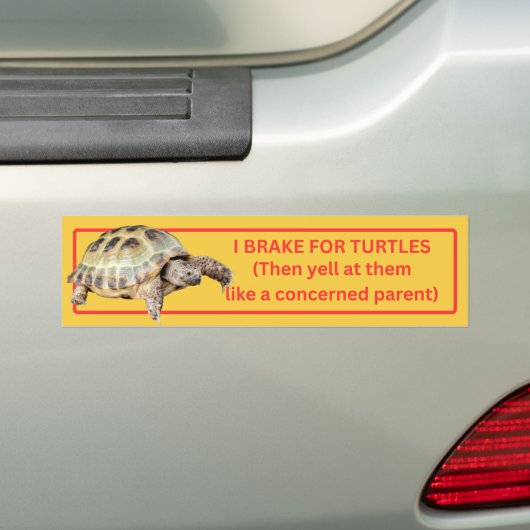 I Brake for Turtles Autoaufkleber (Auf Auto)