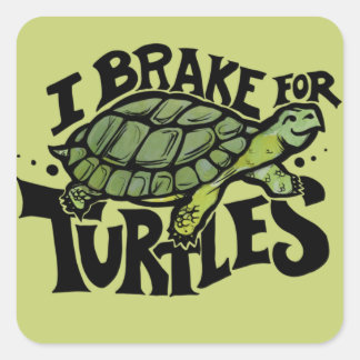 I Brake for Turtles Quadratischer Aufkleber