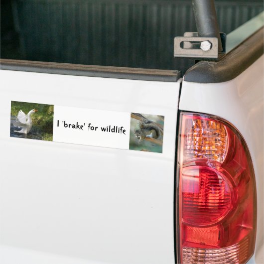 I brake for wildlife Goose Squirrel Bumper Sticker Autoaufkleber (Auf Lkw)