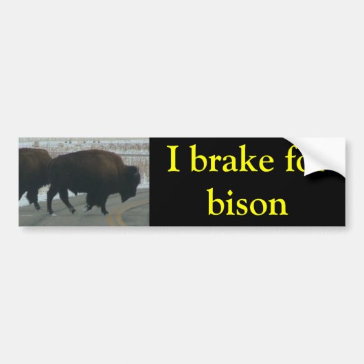 I Bremse für Bison Autoaufkleber (Vorne)