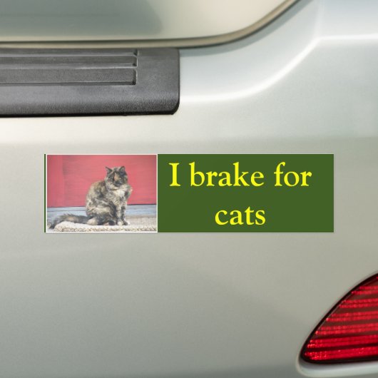 I Bremse für Katzen Autoaufkleber (Auf Auto)