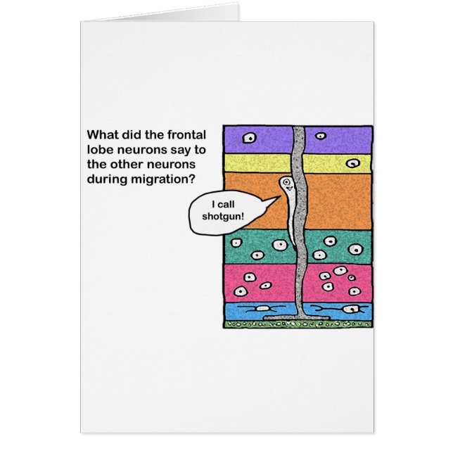 i_call_shotgun (Vorne)