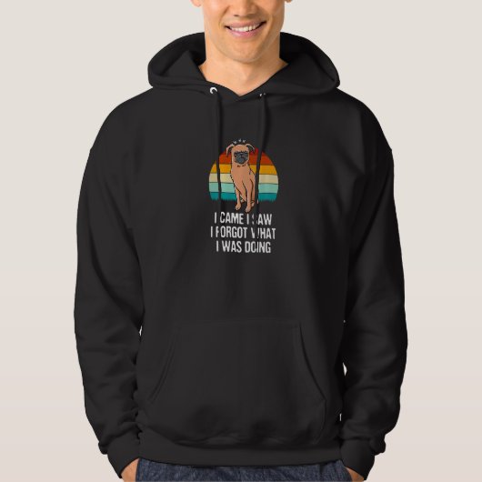 I Came I Saw I Forgot What I Was Doing Funny Sarca Hoodie (Vorderseite)