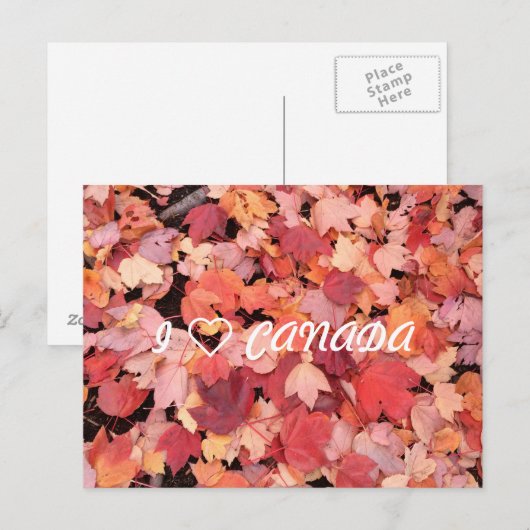 I CANA POSTKARTE (Vorne/Hinten)