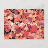 I CANA POSTKARTE (Vorderseite)