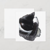 I Can't Even Right Meow (Vorne/Hinten)